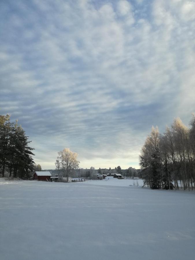 Presterudveien 125 Vikersund Exterior foto